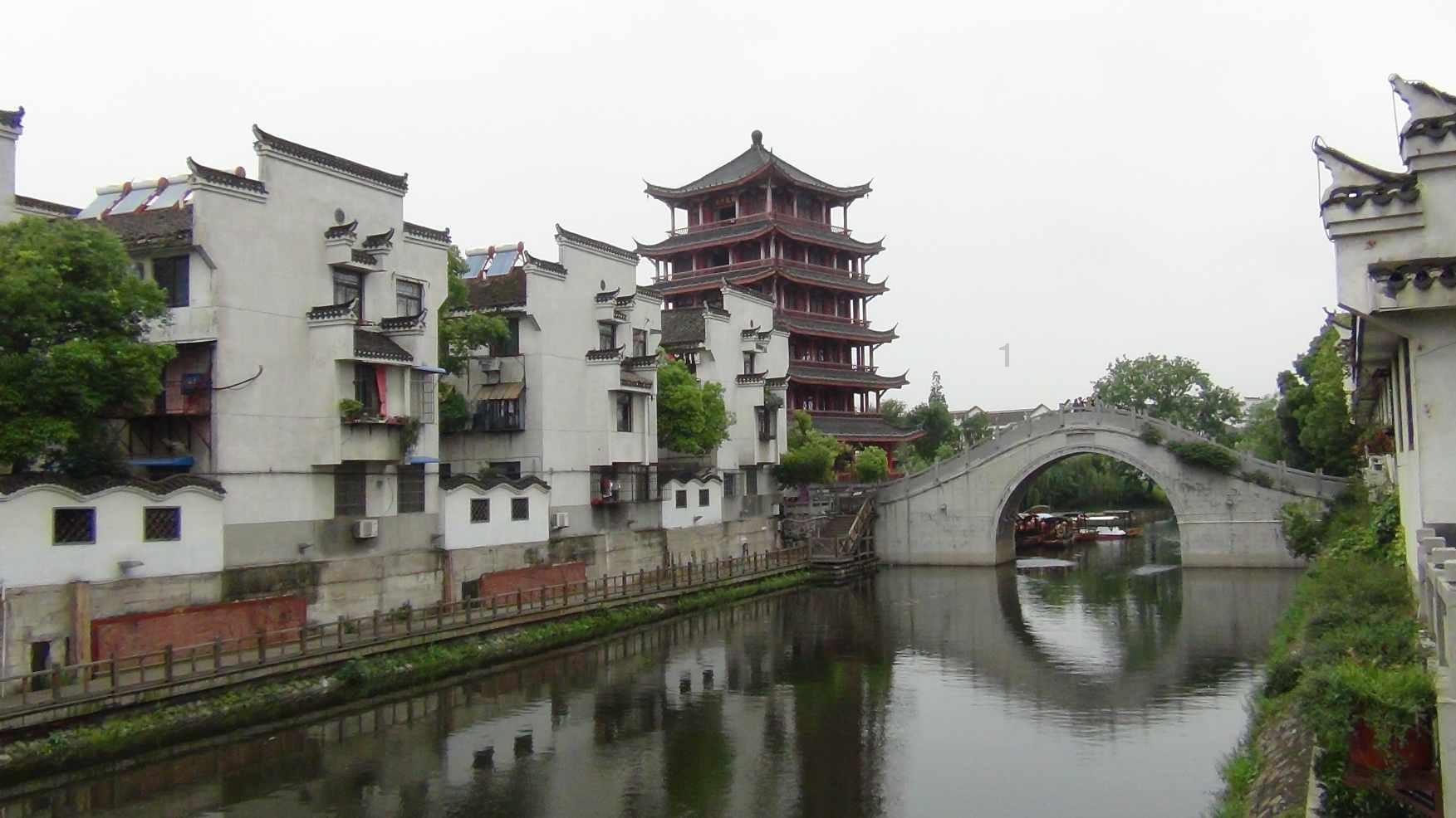 家兔饲养一般以什么为主料？游戏画面